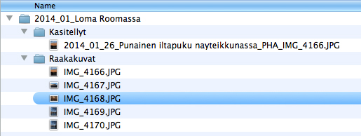 2014_04_13_Bitit oorninkiin_Hakemistopuu_PHA