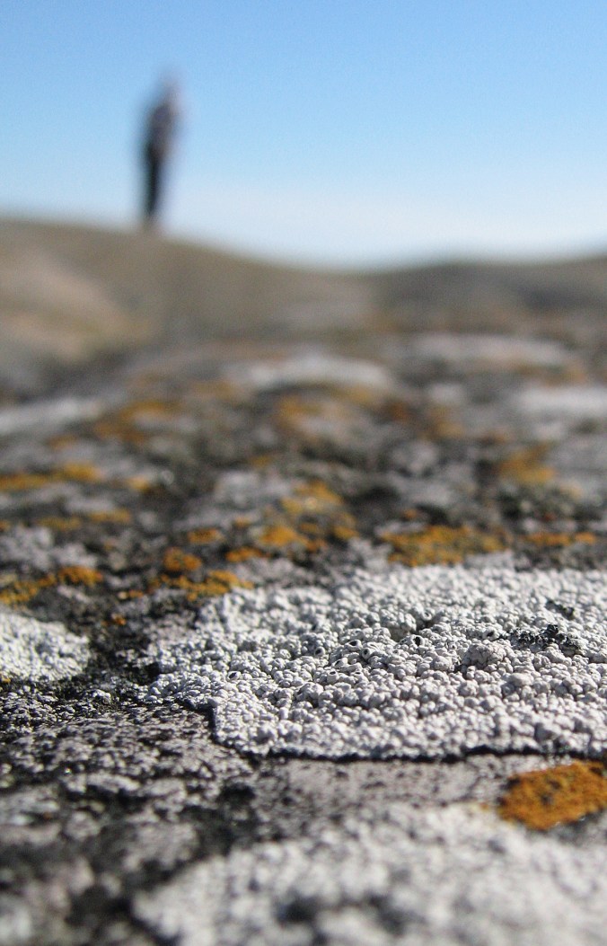 2014_05_29_Kesakuun kuvamiete_PHA