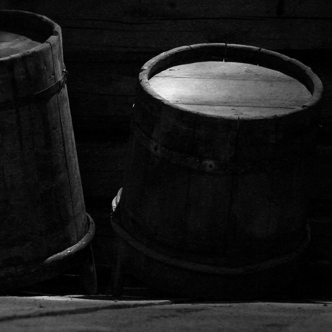 20060720_Puusaavit_Voionmaa