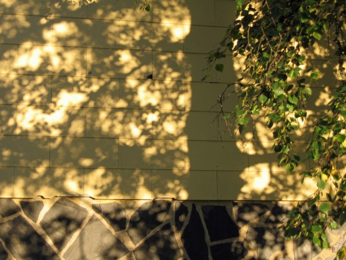 2015_05_01_Toukokuun kuvamiete_puun varjo_PHA