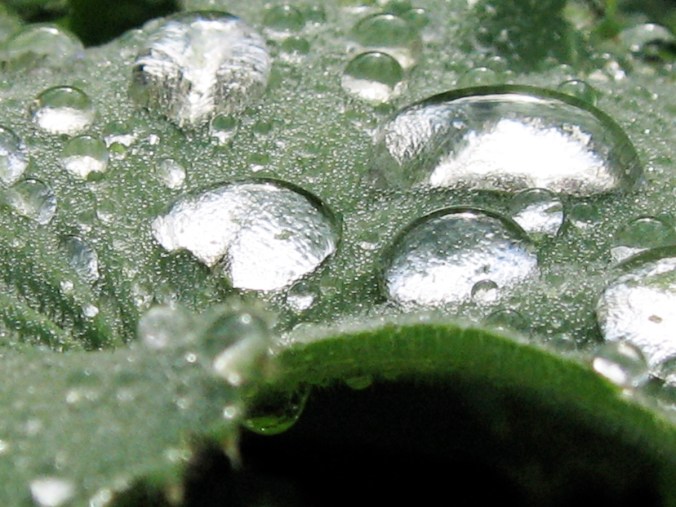 2015_05_31_Kastehelmi_kuvamiete_blogiin_PHA