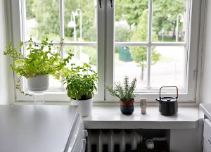 2015_07_Kitchen window_PHA_MG_3218