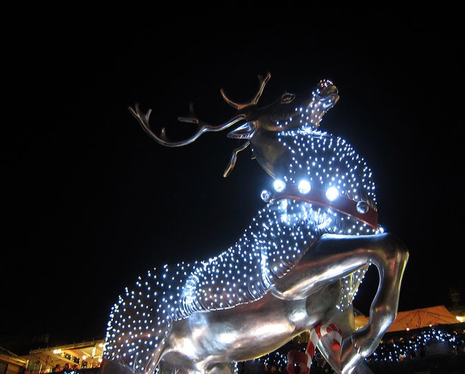 Pukin poro uljaana Covent Gardenissa.