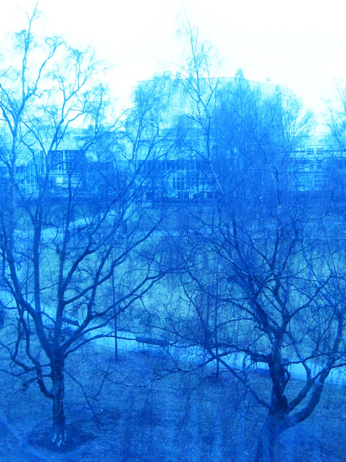 2016_09_30_blogi_sininen-sorsapuisto_pha_img_4079