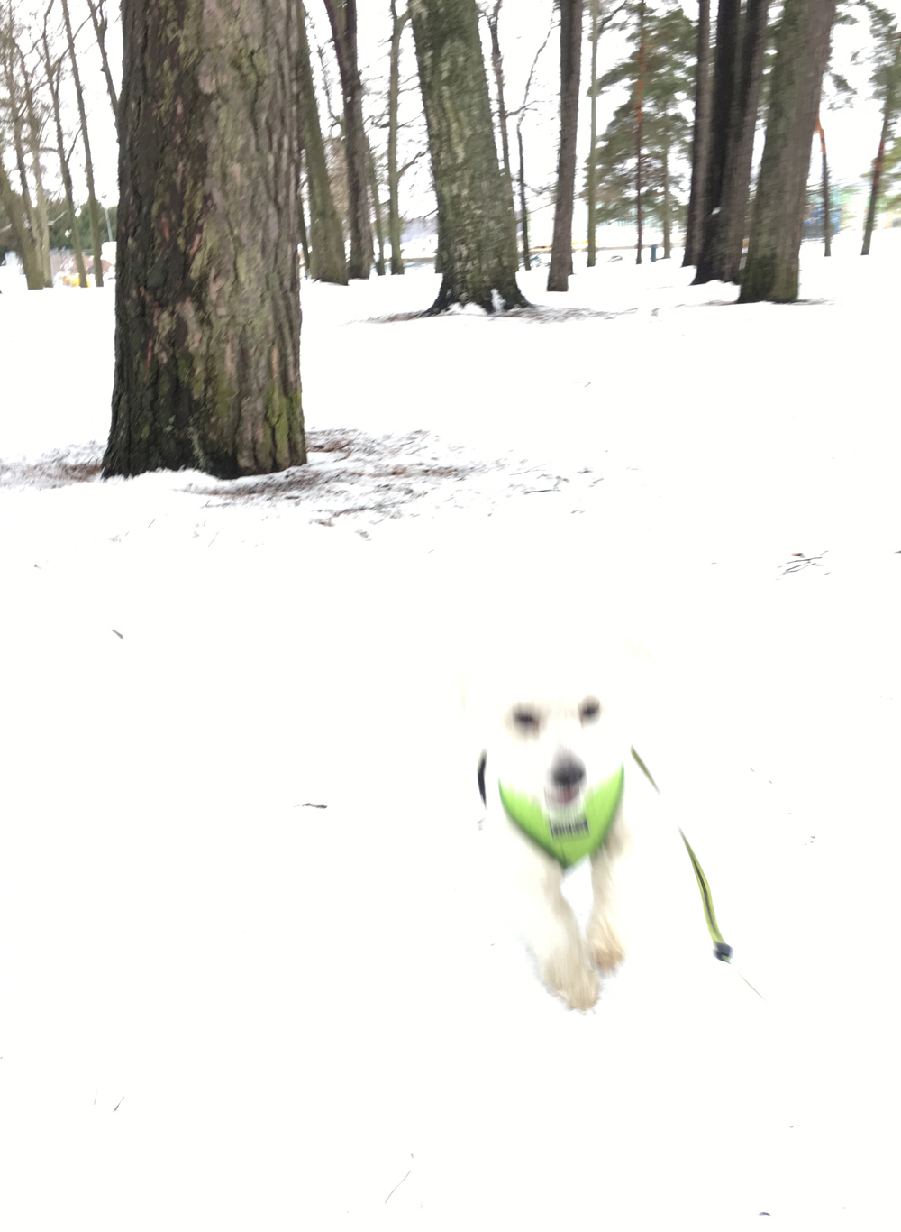 2017_02_23_blogi_latte-kavelylla-6_pha_img_5141