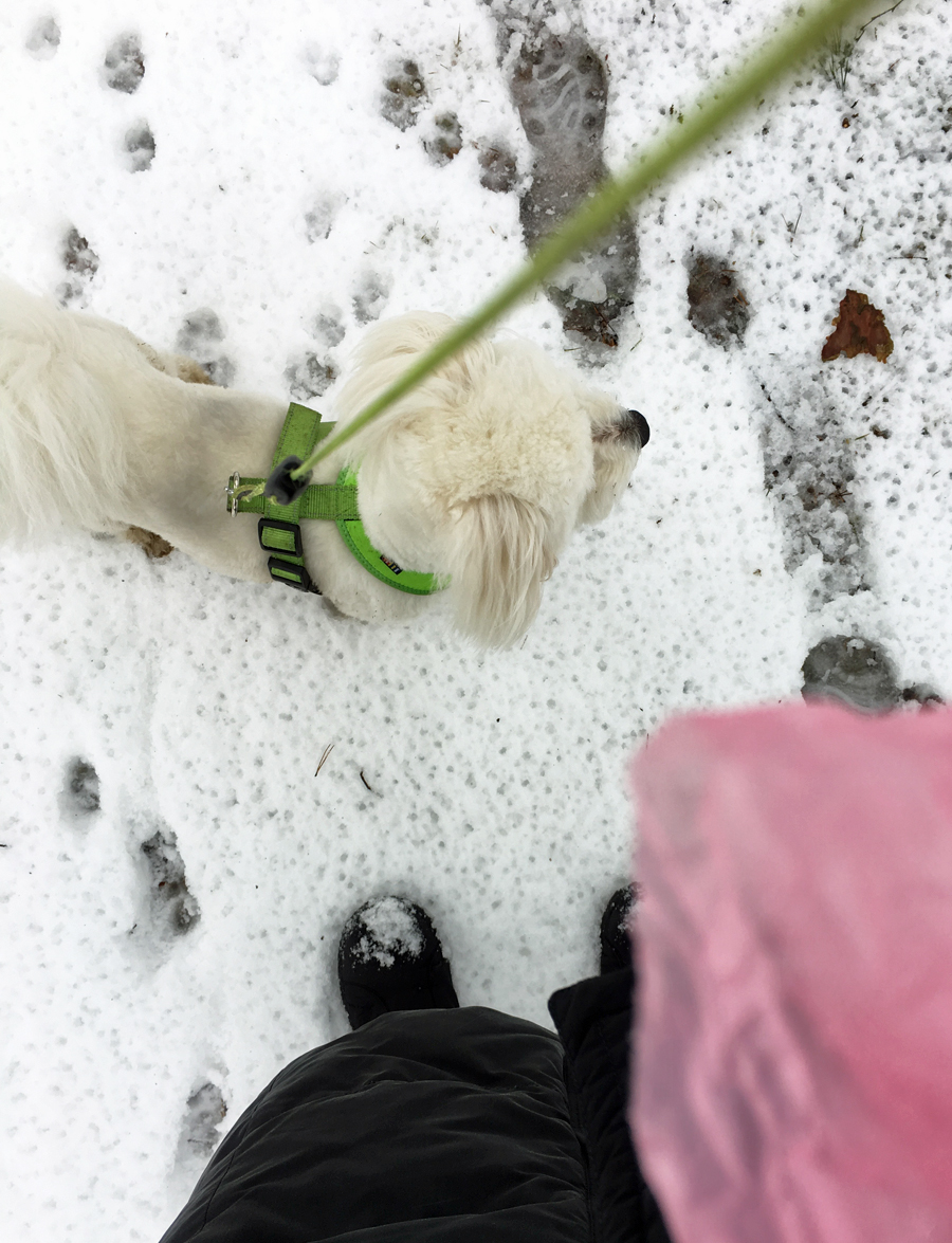 2017_02_23_blogi_latte-kavelylla7_pha_img_5148