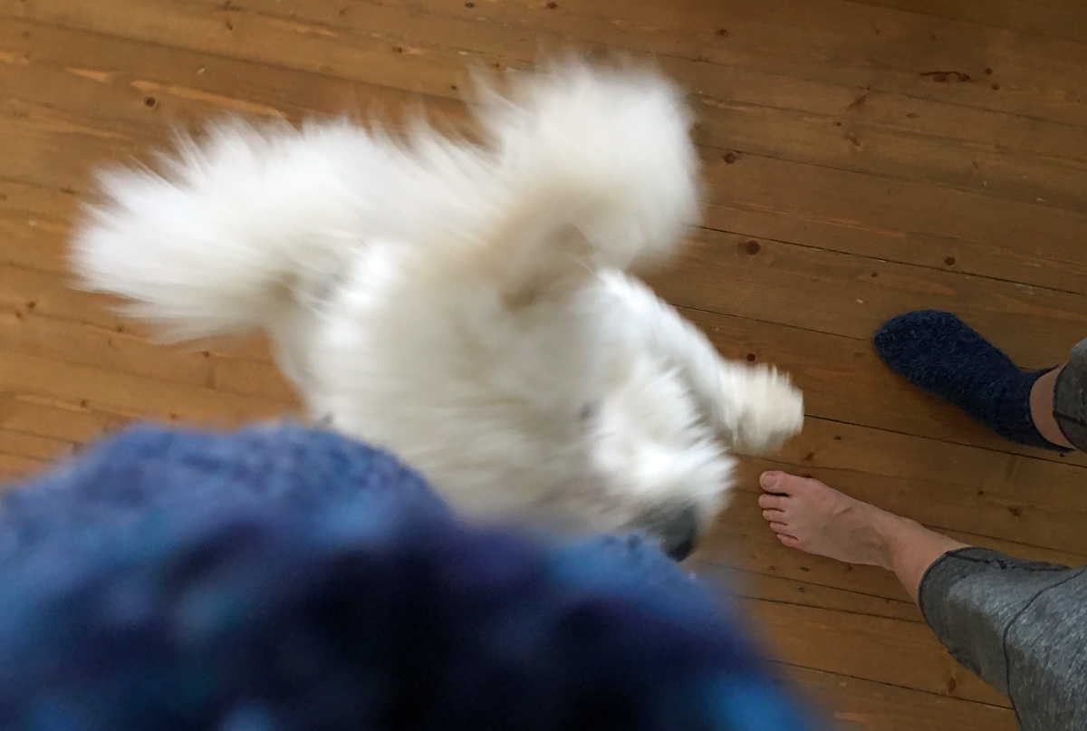 2017_02_25_blogi_latte-hyppaa-sukkaan_pha_img_5173