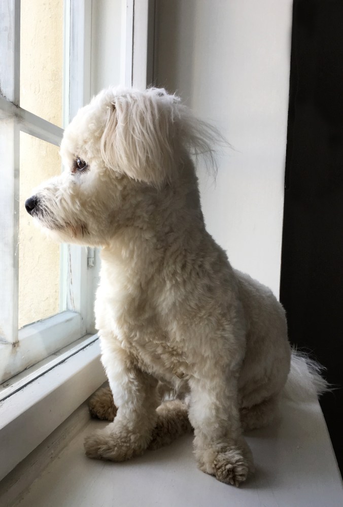 2017_02_26_blogi_latte-ikkunalaudalla_img_5275