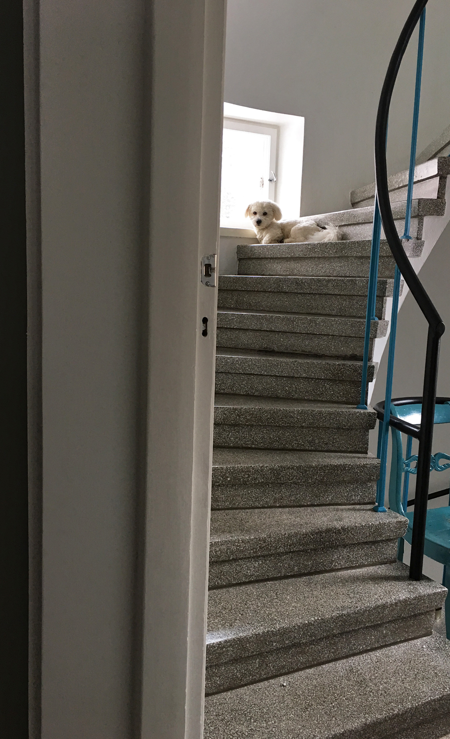 2017_02_28_blogi_latte-kotonaan_pha_img_5334