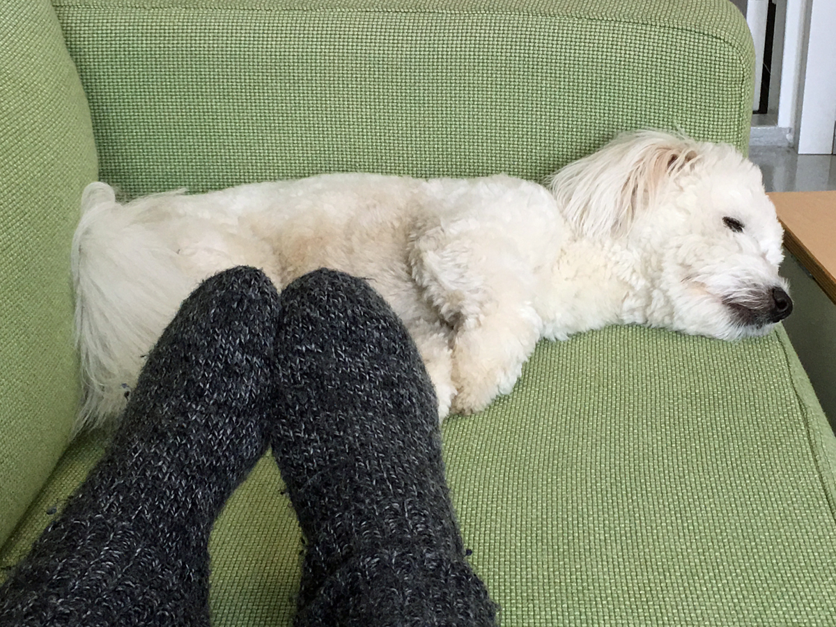 2017_02_28_blogi_latte_kotona_sohvalla_pha_img_5339